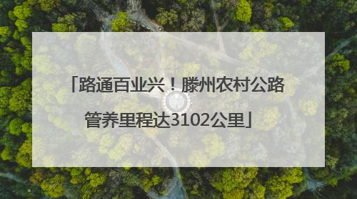 路通百业兴！滕州农村公路管养里程达3102公里