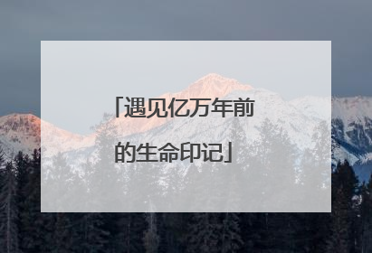 遇见亿万年前的生命印记