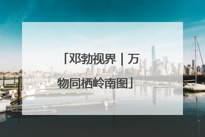 邓勃视界｜万物同栖岭南图