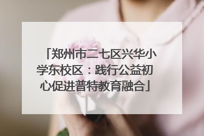 郑州市二七区兴华小学东校区：践行公益初心促进普特教育融合