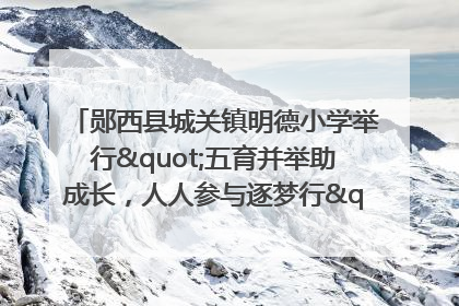 郧西县城关镇明德小学举行"五育并举助成长，人人参与逐梦行"庆六一活动