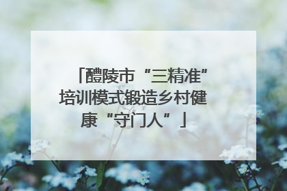 醴陵市“三精准”培训模式锻造乡村健康“守门人”
