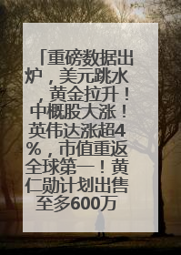 重磅数据出炉，美元跳水，黄金拉升！中概股大涨！英伟达涨超4%，市值重返全球第一！黄仁勋计划出售至多600万股股票
