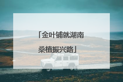 金叶铺就湖南桑植振兴路