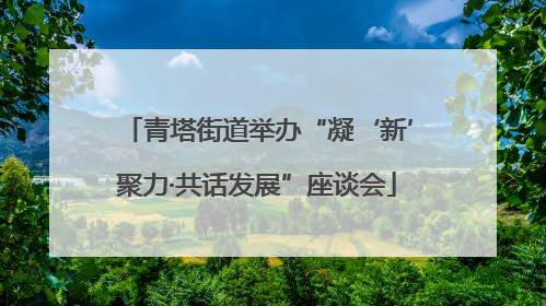 青塔街道举办“凝‘新’聚力·共话发展”座谈会