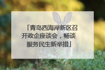 青岛西海岸新区召开政企座谈会，畅谈服务民生新举措