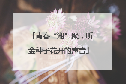 青春“湘”聚，听金种子花开的声音