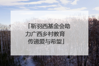 靳羽西基金会助力广西乡村教育 传递爱与希望