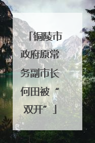 铜陵市政府原常务副市长何田被“双开”