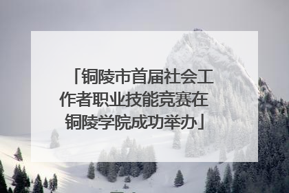 铜陵市首届社会工作者职业技能竞赛在铜陵学院成功举办