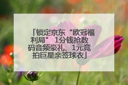 锁定京东“欧冠福利局” 1分钱抢数码音频豪礼、1元竞拍巨星亲签球衣