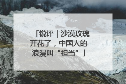 锐评｜沙漠玫瑰开花了，中国人的浪漫叫“担当”