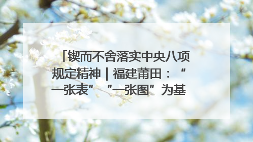 锲而不舍落实中央八项规定精神｜福建莆田：“一张表”“一张图”为基层减轻“数字负担”