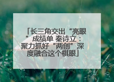 长三角交出“亮眼”成绩单 秦诗立：聚力抓好“两创”深度融合这个棋眼