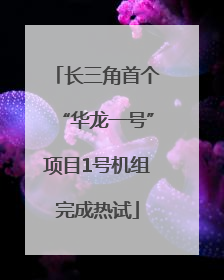 长三角首个“华龙一号”项目1号机组完成热试