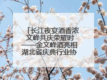 长江夜宴酒香浓 文峰共庆荣耀时——金文峰酒亮相湖北省庆典行业协会十周年盛典
