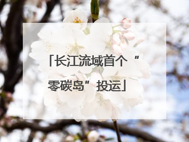 长江流域首个“零碳岛”投运