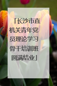 长沙市直机关青年党员理论学习骨干培训班圆满结业