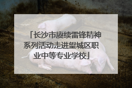 长沙市赓续雷锋精神系列活动走进望城区职业中等专业学校
