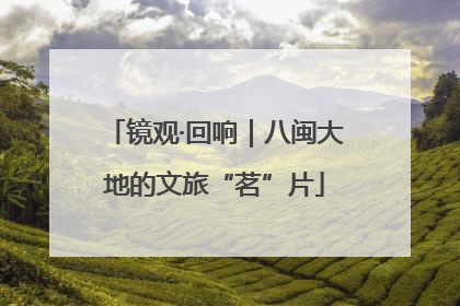 镜观·回响｜八闽大地的文旅“茗”片