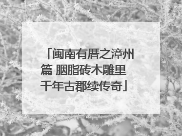 闽南有厝之漳州篇 胭脂砖木雕里千年古郡续传奇