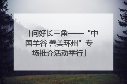 问好长三角——“中国羊谷 善美环州”专场推介活动举行