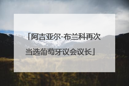 阿吉亚尔-布兰科再次当选葡萄牙议会议长