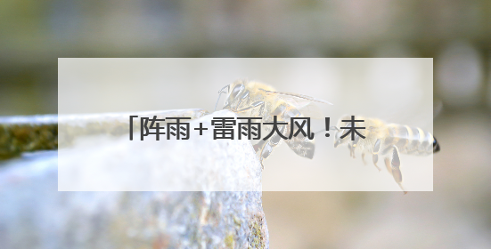 阵雨+雷雨大风！未来一周海南天气→