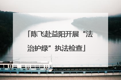 陈飞赴益阳开展“法治护绿”执法检查
