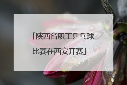 陕西省职工乒乓球比赛在西安开赛