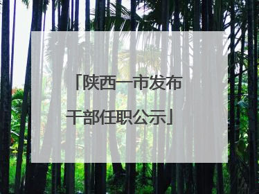 陕西一市发布干部任职公示