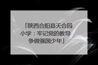 陕西合阳县天合园小学：牢记党的教导 争做强国少年