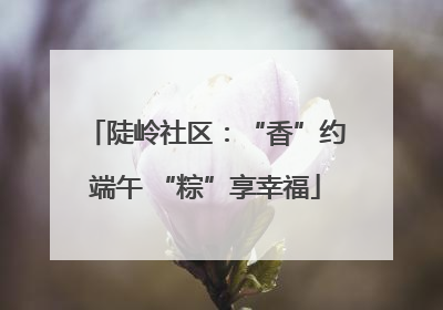 陡岭社区：“香”约端午 “粽”享幸福