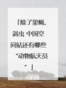 除了果蝇、涡虫 中国空间站还有哪些“动物航天员”