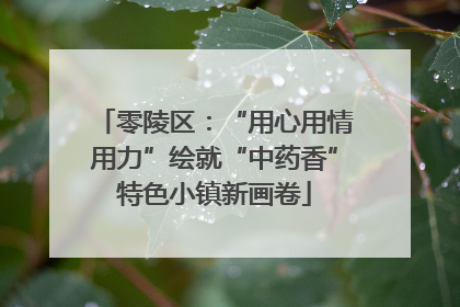 零陵区：“用心用情用力”绘就“中药香”特色小镇新画卷
