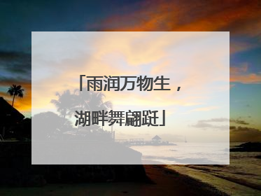 雨润万物生，湖畔舞翩跹