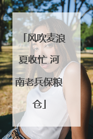 风吹麦浪夏收忙 河南老兵保粮仓