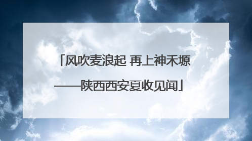 风吹麦浪起 再上神禾塬——陕西西安夏收见闻