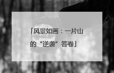 风景如画：一片山的“逆袭”答卷