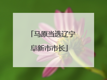 马原当选辽宁阜新市市长