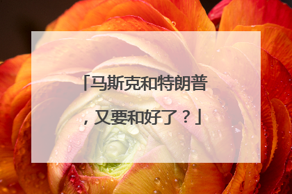 马斯克和特朗普，又要和好了？