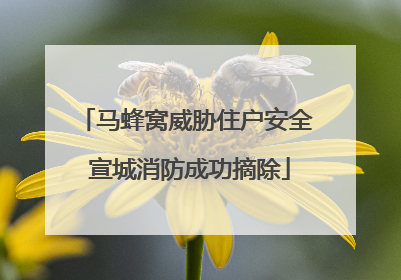 马蜂窝威胁住户安全 宣城消防成功摘除