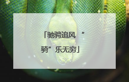驰骋追风 “骑”乐无穷