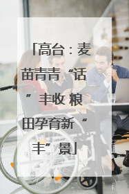 高台：麦苗青青“话”丰收 粮田孕育新“丰”景