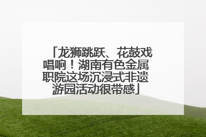 龙狮跳跃、花鼓戏唱响！湖南有色金属职院这场沉浸式非遗游园活动很带感