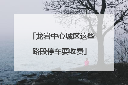 龙岩中心城区这些路段停车要收费