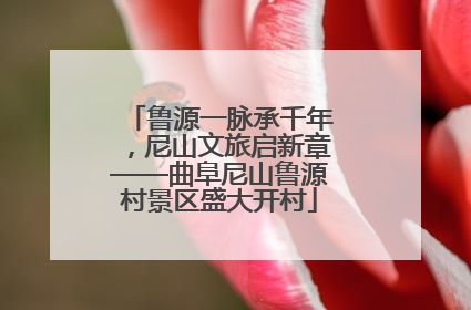 鲁源一脉承千年，尼山文旅启新章——曲阜尼山鲁源村景区盛大开村