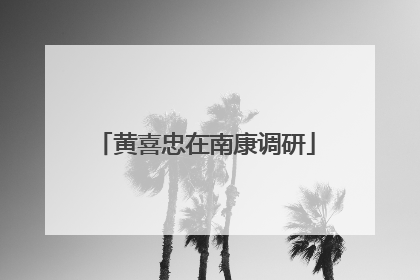黄喜忠在南康调研