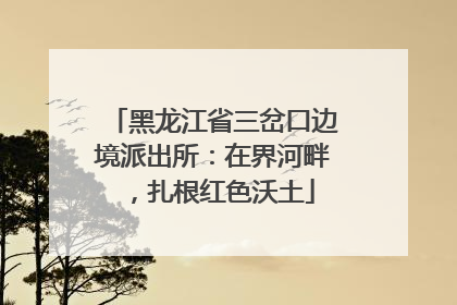 黑龙江省三岔口边境派出所：在界河畔，扎根红色沃土