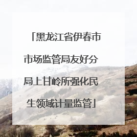 黑龙江省伊春市市场监管局友好分局上甘岭所强化民生领域计量监管
